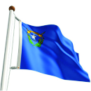 NEVADA